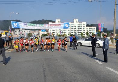 2017 교육감배 시·군대항 초·중 구간마라톤대회 성황리 개최